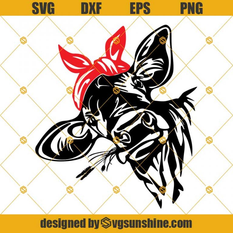 Cow With Bandana And Grass SVG Cow Bandana SVG PNG DXF EPS Cow SVG Sunshine