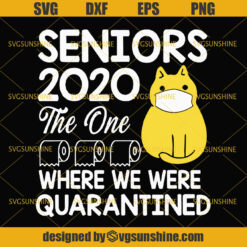 Senior SVG, Seniors 2020 The One Where We Were Quarantined Svg, Seniors 2020 Svg, Graduation Svg, Cat Quarantined Svg