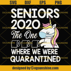 Senior SVG, Seniors 2020 The One Where We Were Quarantined Svg, Seniors 2020 Svg, Graduation Svg, Unicorn Quarantined Svg