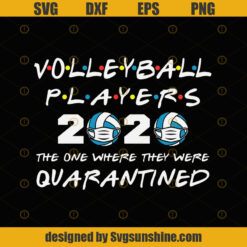 Vollley ball Players 2020 The One Where They Were Quarantined Funny Volley Kids League Silhouette SVG