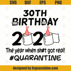 30st Birthday 2020 The Year When Got Real Quarantine Funny Toilet Paper Twenty First Silhouette SVG PNG Cutting File Cricut Digital Download