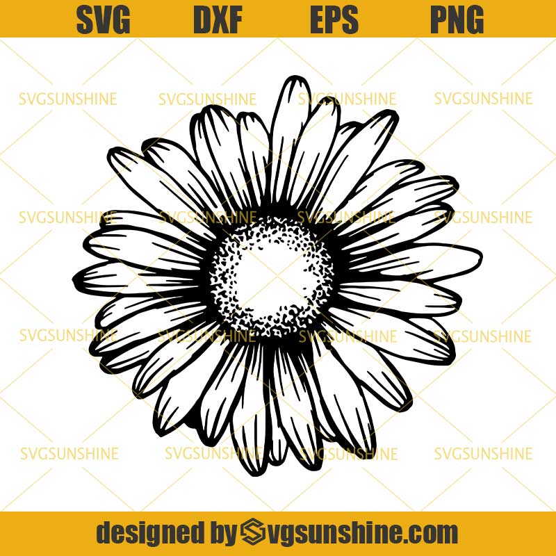 Daisy Flower SVG, Floral SVG, Daisies SVG, Blossom SVG, Petal SVG