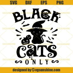 Black Cat Only Halloween SVG, Cat in Witch Hat SVG, Black Cats Halloween SVG DXF EPS PNG