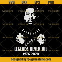 Legends Never Die Chadwick Boseman 1976 - 2020 SVG, Black Panther Marvel SVG DXF EPS PNG