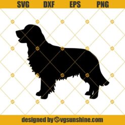 Golden Retriever SVG, Smiling Dog Animal Pet Puppy Paws SVG