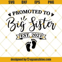 Promoted to Big Sister est. 2021 SVG, New Sister SVG, Family SVG, New Baby SVG, Big Sister SVG