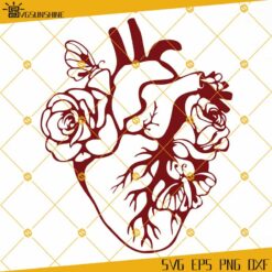 Cardiology SVG, Anatomical Heart With Roses SVG PNG DXF EPS