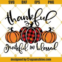 Thankful Pumpkin SVG, Grateful And Blessed SVG, Thanksgiving SVG, Pumpkin SVG