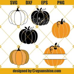 Pumpkin SVG Bundle, Floral Pumpkin SVG, Pumpkin Monogram SVG