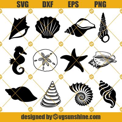 Seashell Bundle Svg, Seashell Svg, Beach Svg, Shell Svg