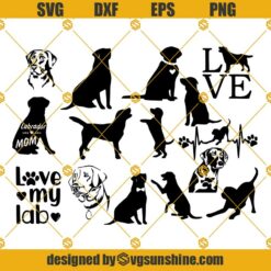 Labrador Retriever Dog SVG, Labrador Retriever SVG Bundle Dog SVG Cut File For Cricut & Silhouette