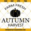 Farm Fresh Sign SVG, Farm Fresh Harvest SVG, Farm Fresh Svg, Farmers Market Svg, Farm Fresh Pumpkins Svg