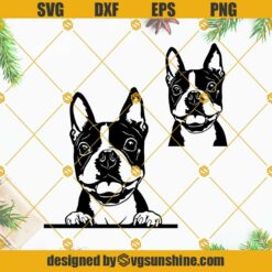 Boston Terrier SVG Bundle, Boston Terrier Dog SVG Cricut, Funny Peeking Dog SVG, Dog Face Head SVG