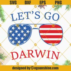 American Flag Sunglasses Let's Go Darwin SVG, Let's Go Darwin SVG PNG DXF EPS Cut Files