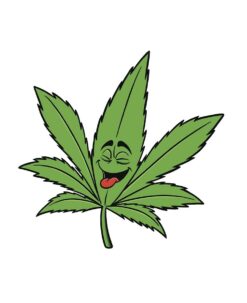 Cannabis