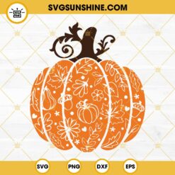 Pumpkin SVG, Fall Pumpkin Halloween SVG, Pumpkin Thanksgiving SVG, Swirly Pumpkin SVG Files