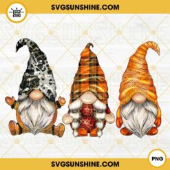 Fall Gnomes Png, Fall Png, Autumn Png, Pumpkin Png, Thanksgiving Gnome Png Design