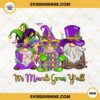 Its Mardi Gras Yall PNG, Fat Tuesday PNG, Mardi Gras Gnomes PNG Sublimation