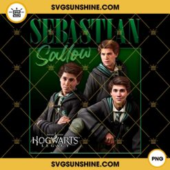 Harry Potter Hogwarts Legacy PNG, Sebastian Sallow Collage PNG