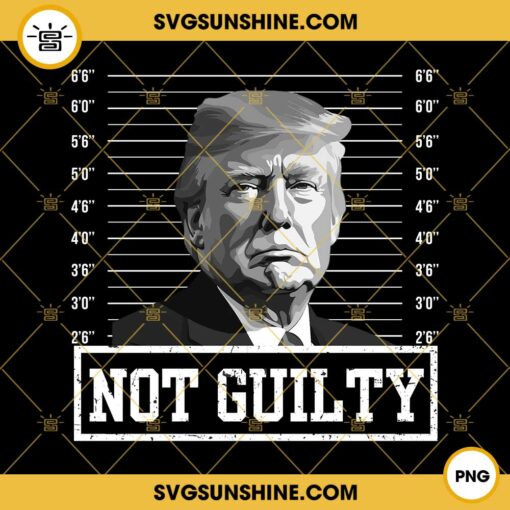 Trump Not Guilty PNG Trump Mug Shot PNG, Trump 2024 PNG