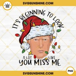 Donald Trump Christmas Hat PNG, Donald Trump Christmas Light PNG File Designs