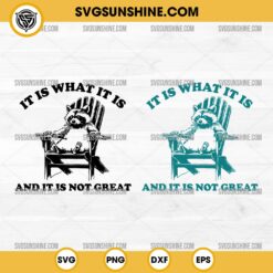 It Is What It Is And It Is Not Great SVG Bundle, Funny Sarcastic Racoon SVG