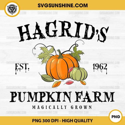 Hagrid's Pumpkin Farm PNG, Fall Autumn Pumpkin Garden PNG