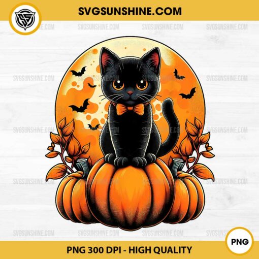 Black Cat Pumpkin Halloween PNG