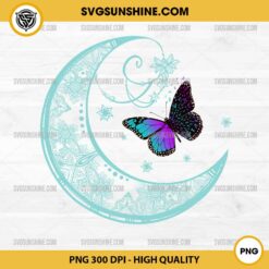 Butterfly Dreamcatcher PNG