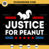 Justice For Peanut SVG, The Squirrel 2024 SVG