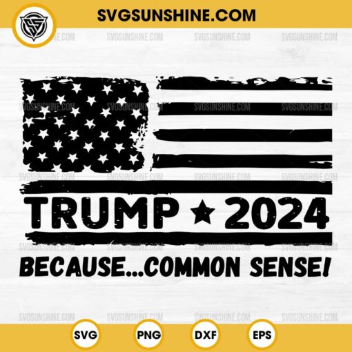 Trump 2024 Because Common Sense SVG, Donald Trump 2024 American Flag SVG