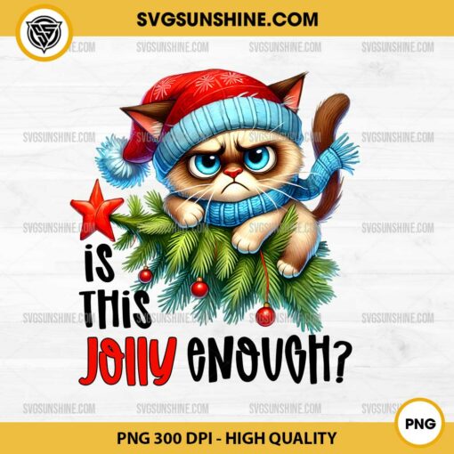 Funny Cat Christmas Is This Jolly Enough PNG File