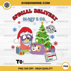 Special Delivery Bluey Christmas PNG, CUSTOM Bluey and Bingo Christmas PNG, Add Kids Name PNG