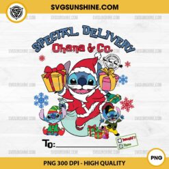 Special Delivery Ohana & Co PNG, Personalized Stitch Christmas PNG, CUSTOM Name Christmas PNG