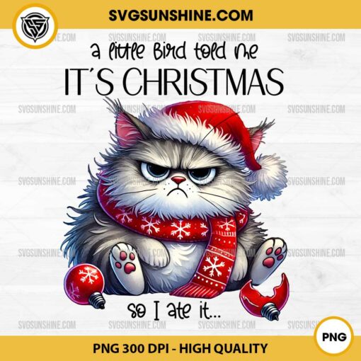 Christmas Grumpy Cat Santa Hat PNG File