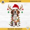 Beagle Christmas PNG, Beagle Santa Hat Lover PNG