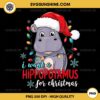 Cute Hippo Santa Hat Christmas PNG, I Want A Hippopotamus For Christmas PNG