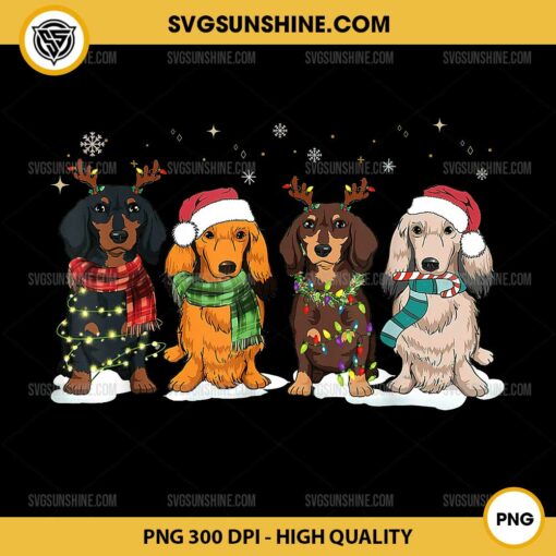 Dachshund Christmas PNG, Merry Christmas Dachshund Santa Hat PNG Sublimation