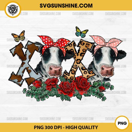 Cow Kiss XOXO Valentine Day PNG