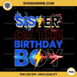 Sonic Sister Of The Birthday Boy PNG, Sonic Birthday PNG