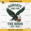 Sundays Are For The Birds PNG, Eagles Football PNG, Philadelphia Eagles PNG