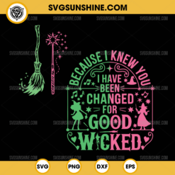 Wicked SVG Bundle, Because I Knew You I Have Been Changed For Good Wicked SVG, Wicked Movie SVG