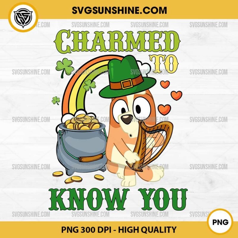 Bingo Charmed To Know You PNG, Bingo Bluey Patricks Day PNG