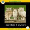 Funny Meow I Can't Take it Anymore PNG, Cat Owl PNG