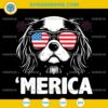 Cavalier King Charles 4th Of July SVG