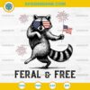 Raccoon Feral And Free SVG, Vintage Patriotic Raccoon 4th of july SVG