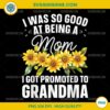 I Was So Good At Being A Mom I Got Promoted To Grandma PNG File