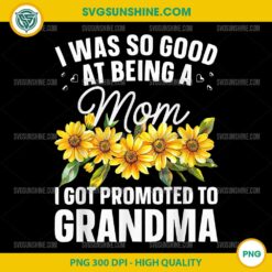 I Was So Good At Being A Mom I Got Promoted To Grandma PNG File