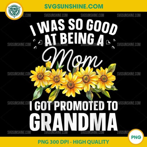 I Was So Good At Being A Mom I Got Promoted To Grandma PNG File