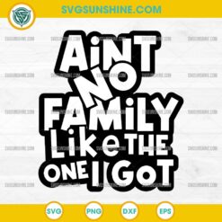 Aint No Family Like The One I Got SVG design with bold funny quote